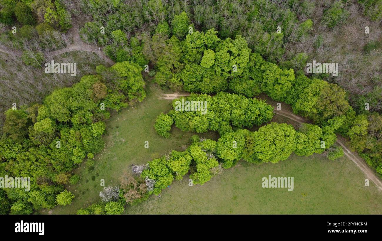 Pathway winding through dense hi-res stock photography and images - Alamy
