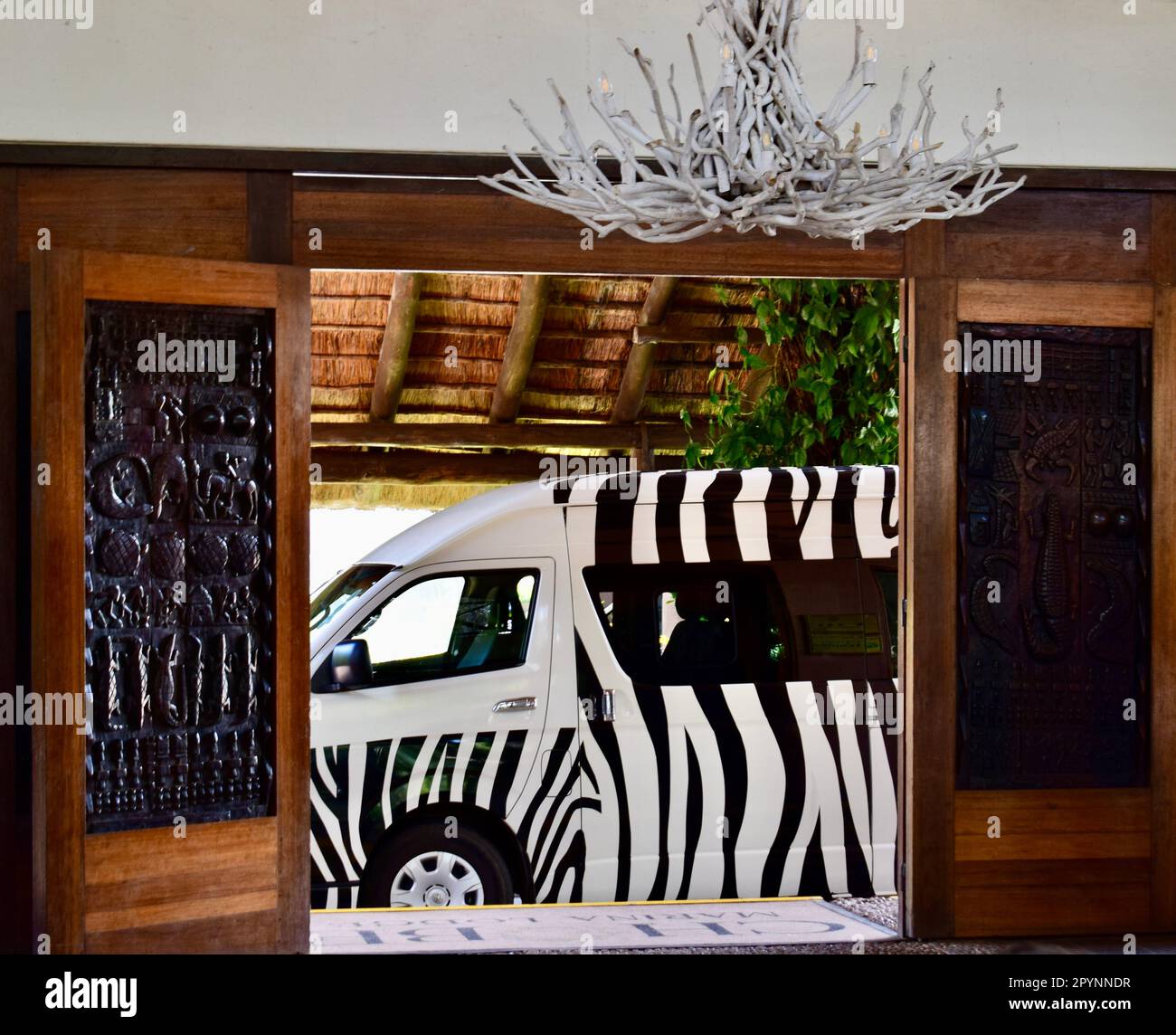 Wooden hotel entrance doors and tree brances hanging lights, with zebra