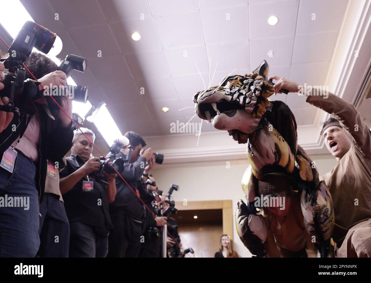 New York, United States. 04th May, 2023. The lifesize tiger puppet