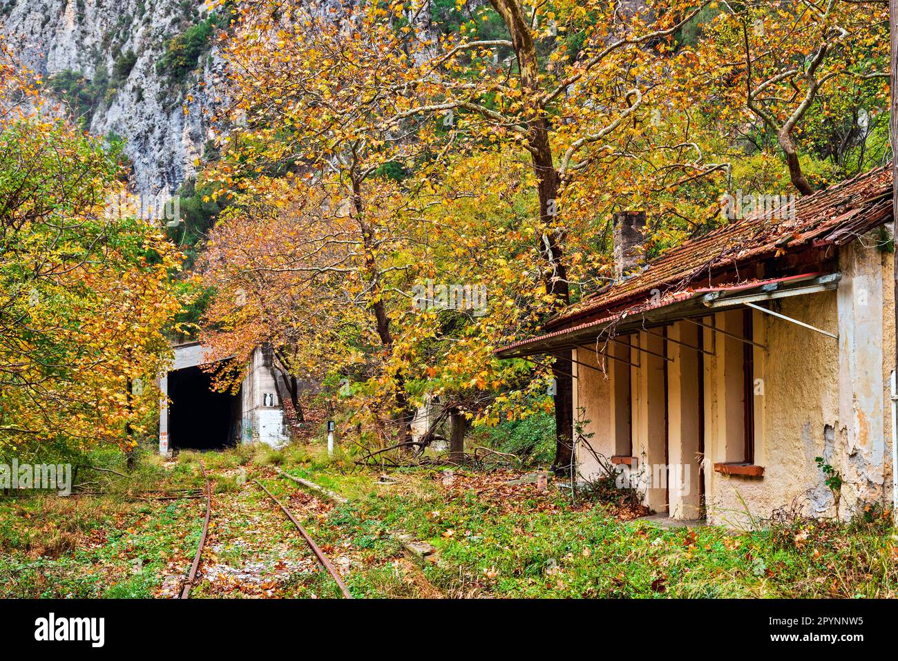 Old, abandoned train station and tunnel next to Pineios river, Tempi (or 'Tempe') valley, Larissa, Thessaly, Greece. Stock Photo