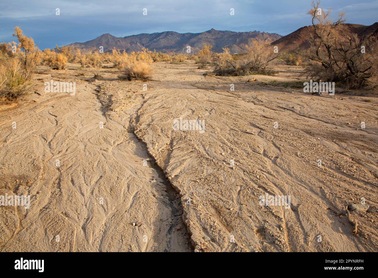 Wash in Marble Mountains, Mojave Trails National Monument, California Stock Photo