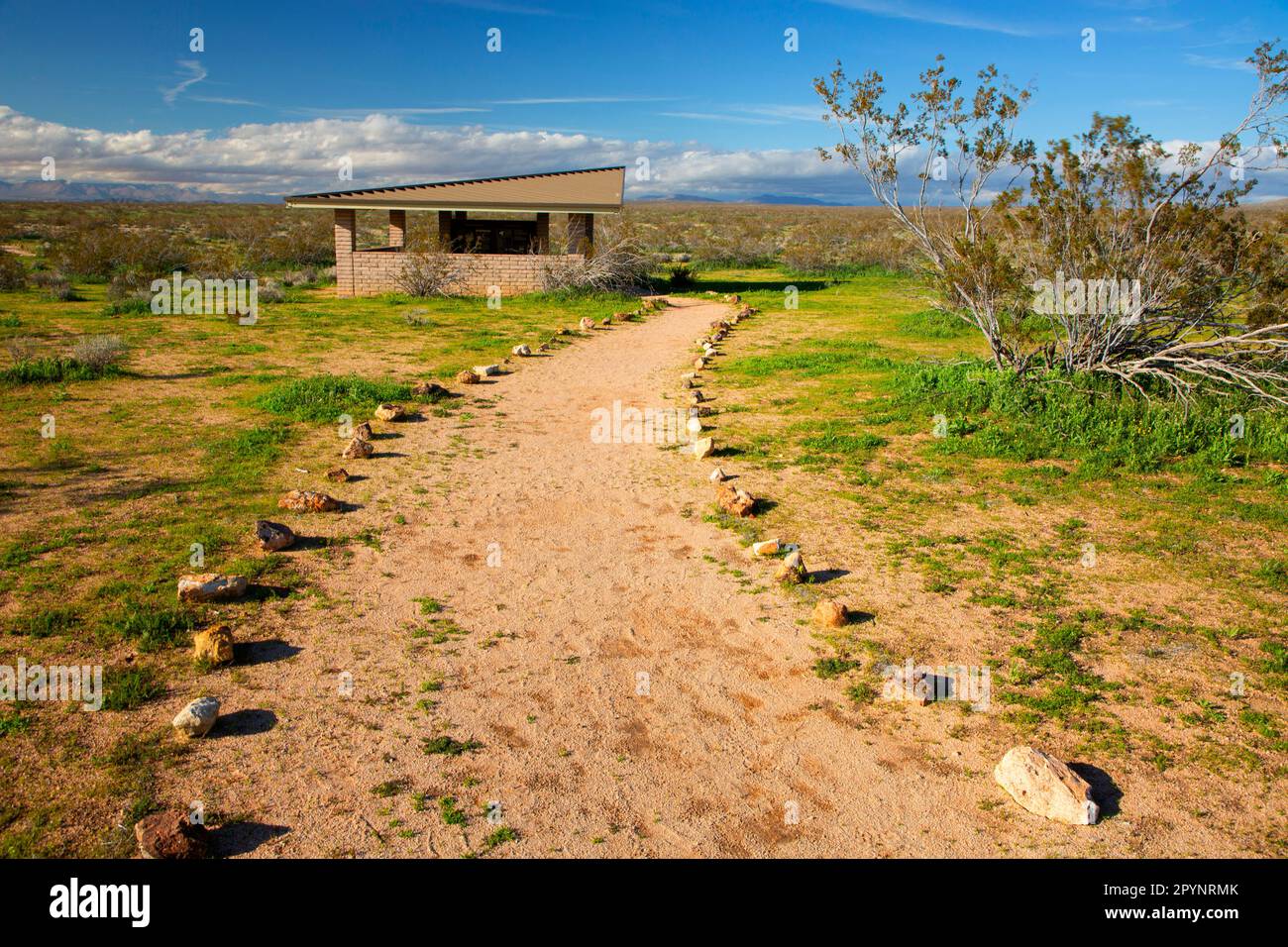 Nature trail, Desert Tortoise Natural Area, California Stock Photo - Alamy