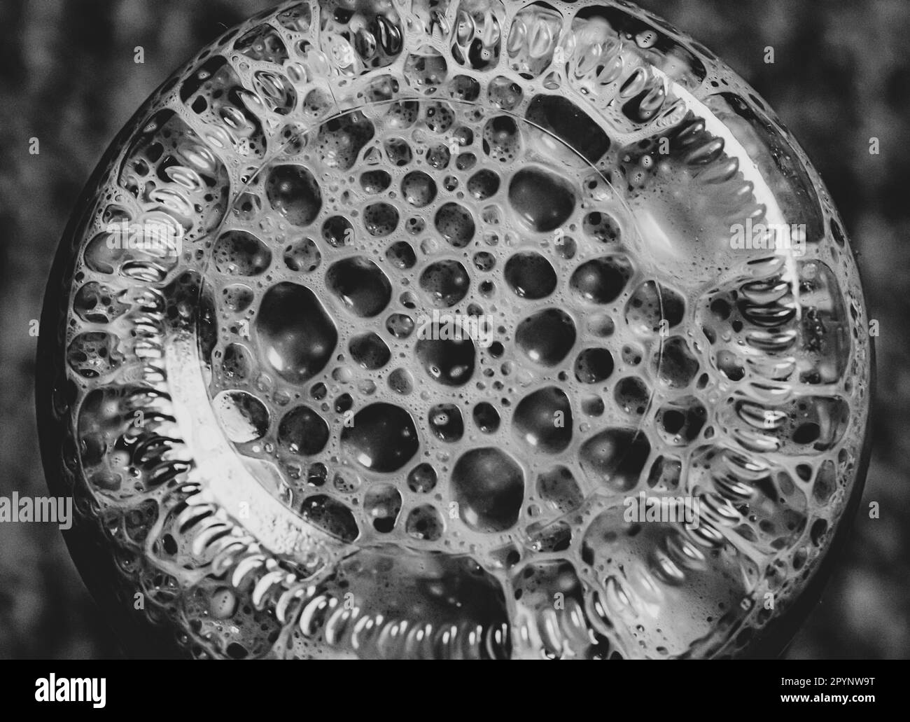 View from the upside down bottom of a bottle containing agitated
