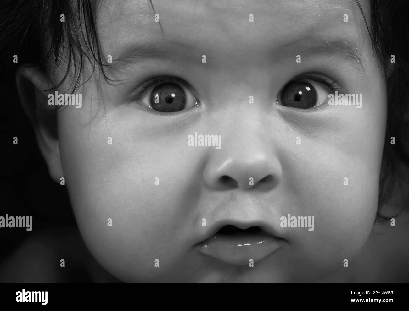 I am looking at you bay face amazing big eyes stock photo alamy