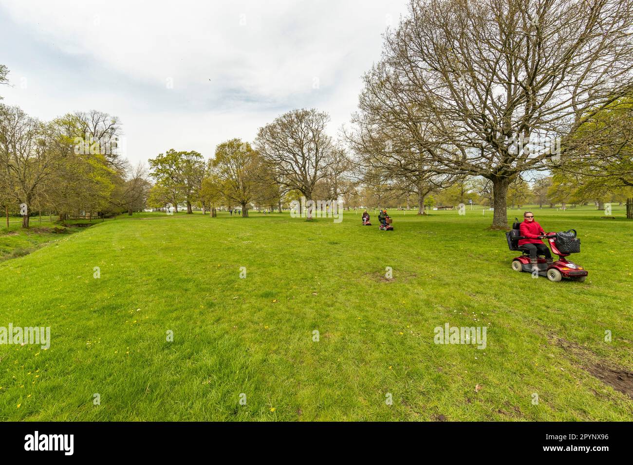 Mobility buggy and countryside hi-res stock photography and images - Alamy
