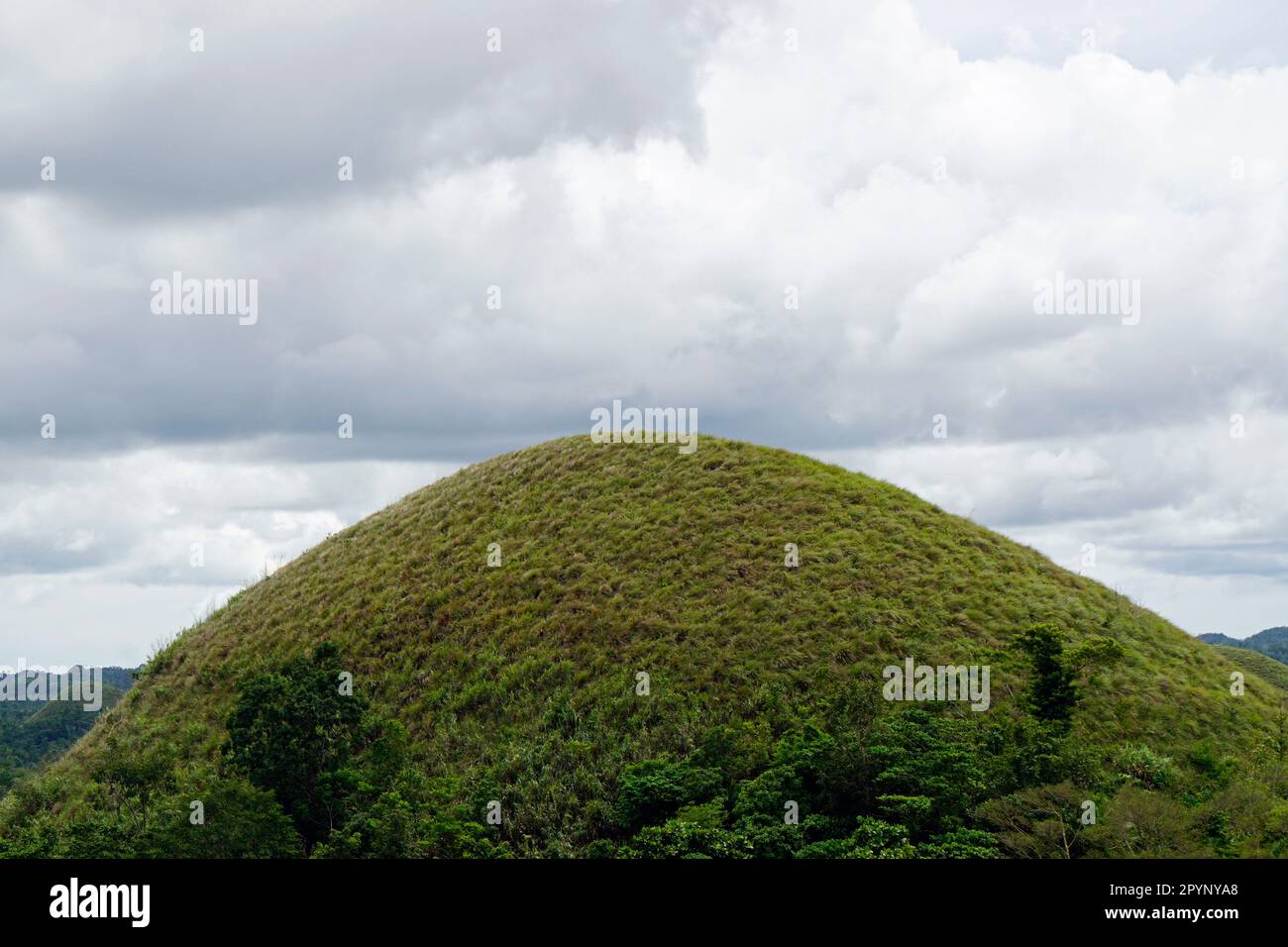 the chocolate hills of bohol on the philippines change their color to