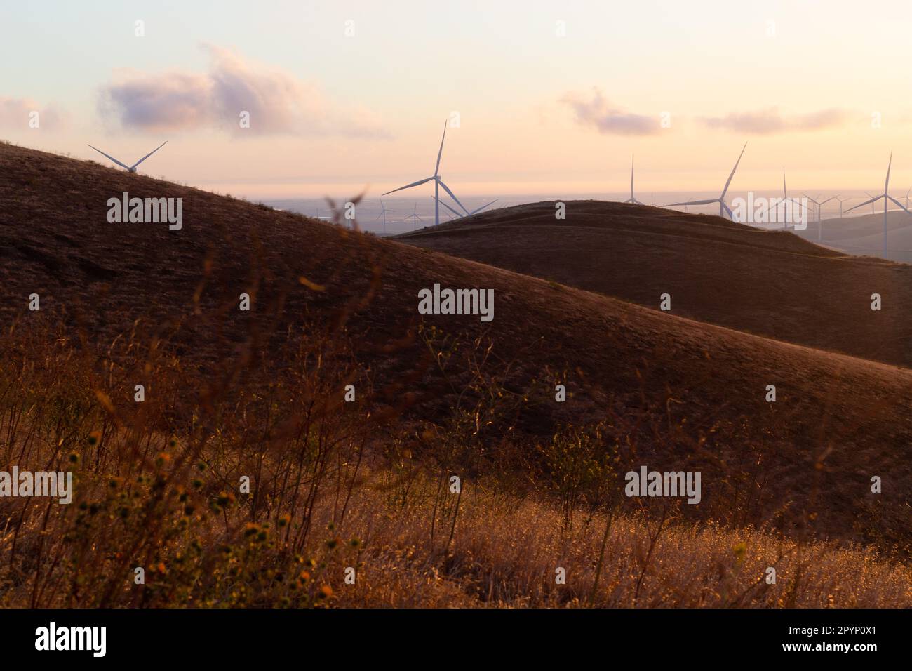 Altamont Windmills Stock Photo