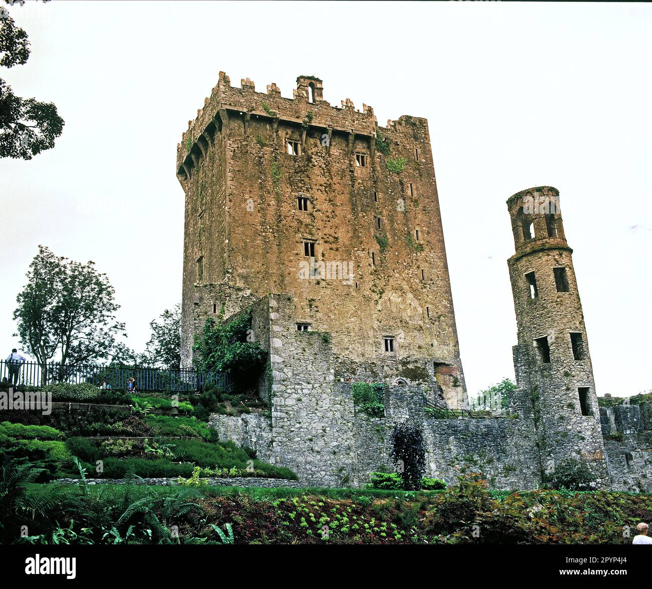 Ireland. County Cork. Blarney Castle. Stock Photo