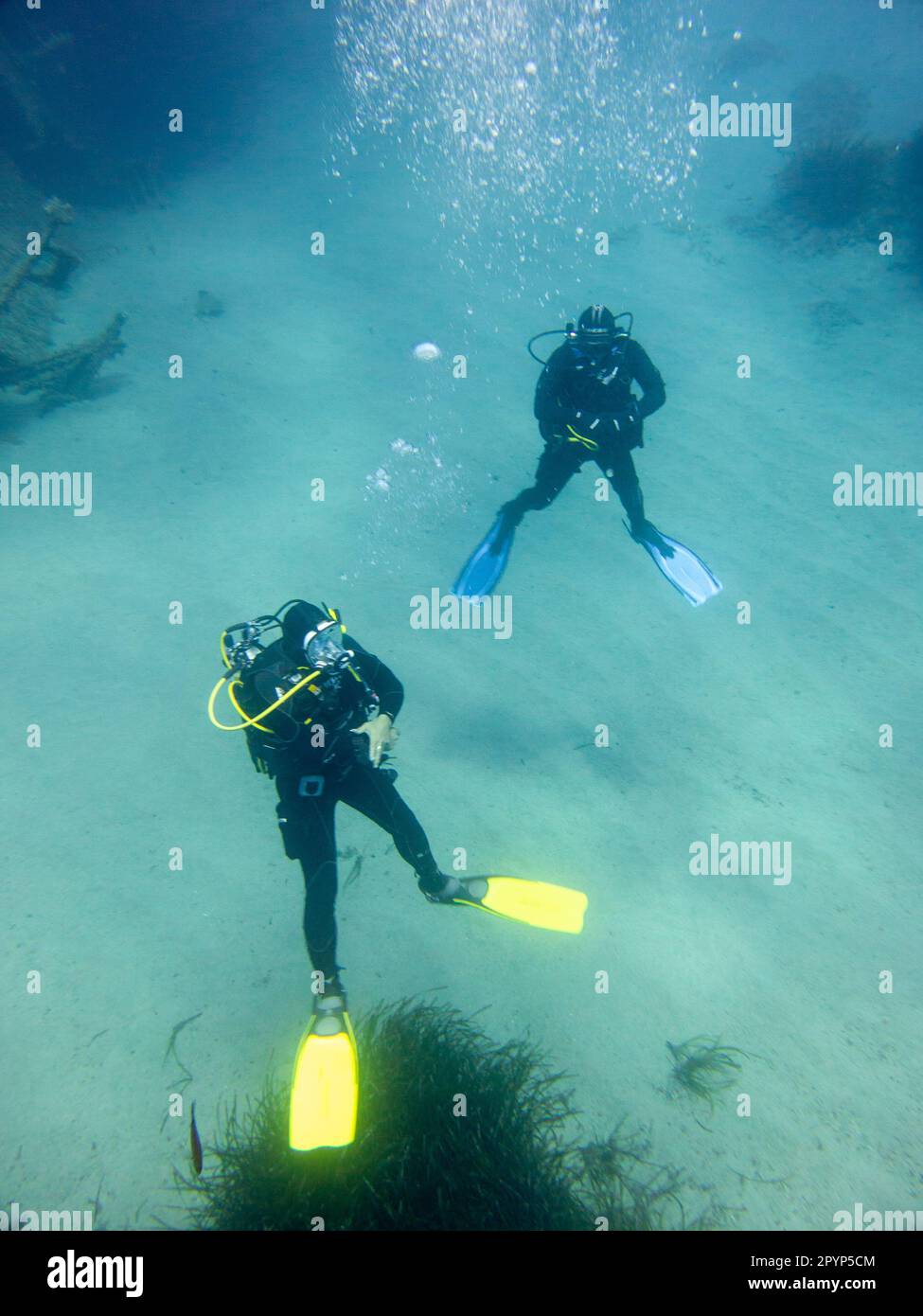 Scuba Diver swimming on sandy sea bottom Stock Photo