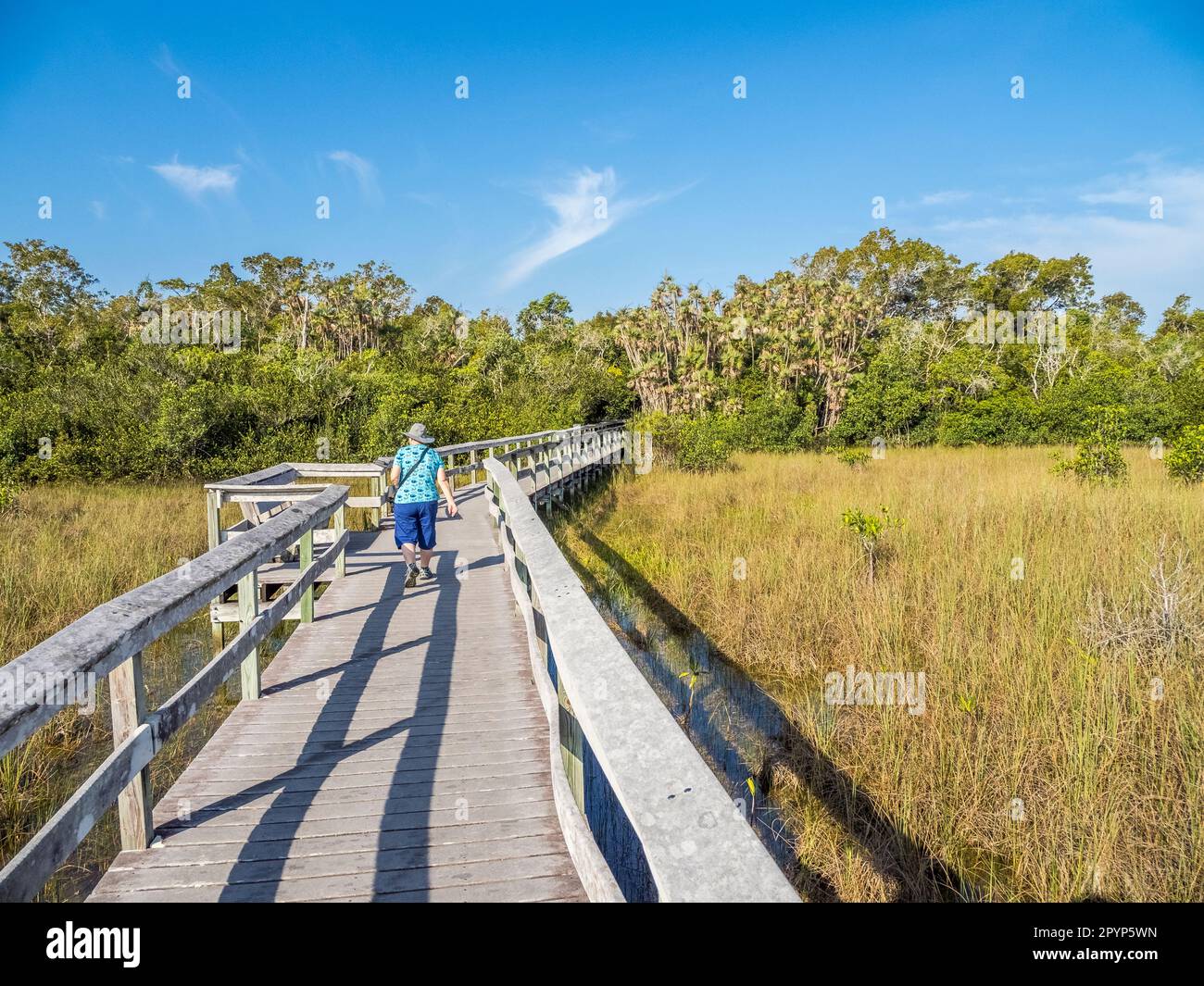 Boardwalk in Mahogany Hammock area of Everglades National Park in