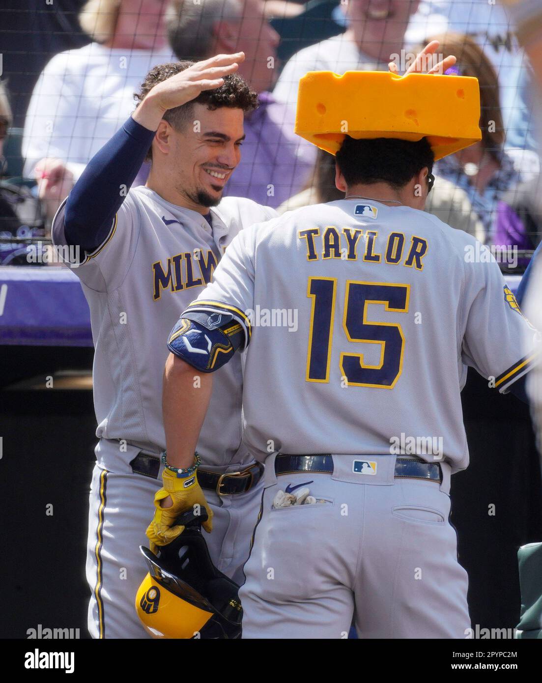 Milwaukee Brewers' Willy Adames, left, places a cheesehead on Tyrone Taylor  (15) as Taylor returns to the dugout after hitting a solo home run off  Colorado Rockies starting pitcher Connor Seabold in