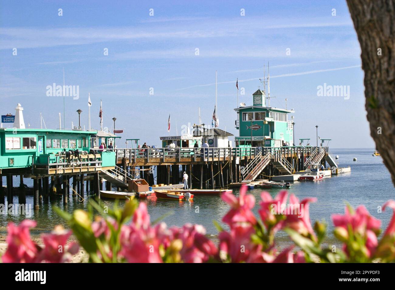 Green Pleasure Pier Catalina Island Stock Photo Alamy