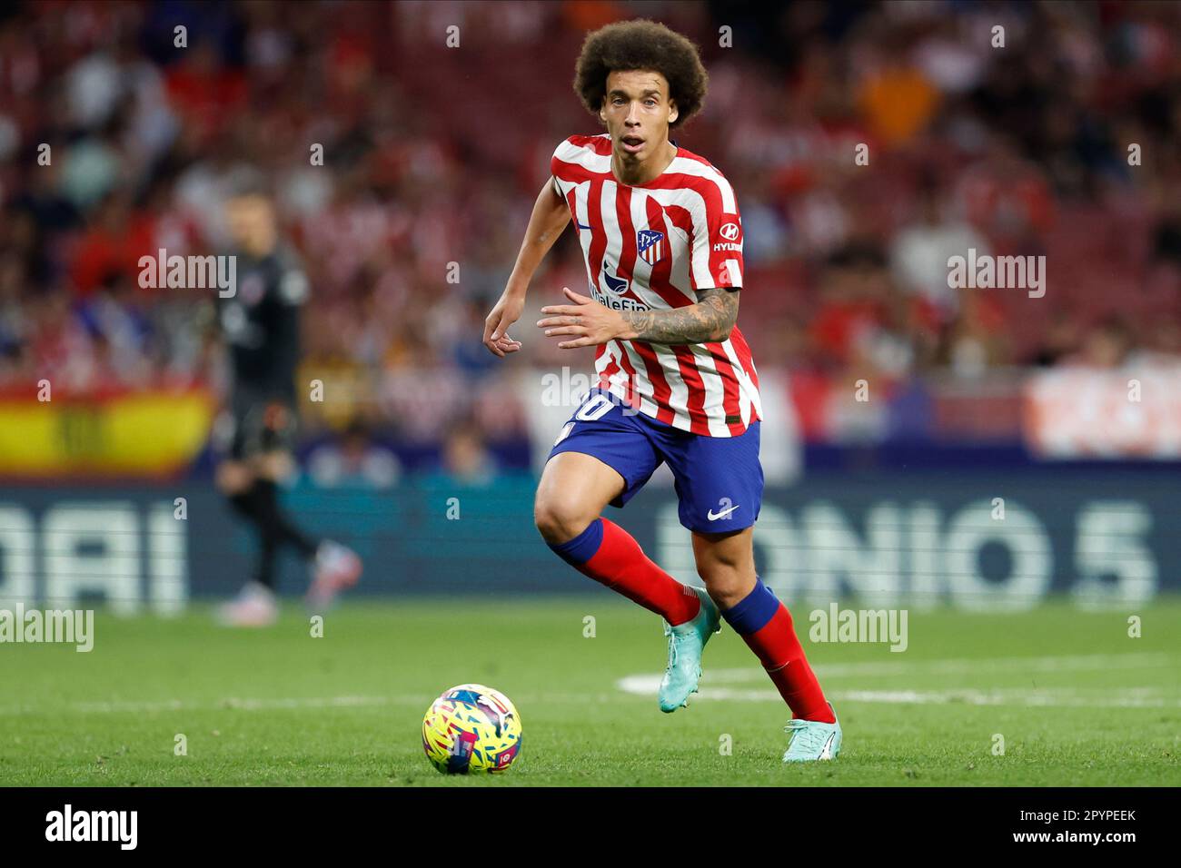 Axel witsel 2023 hi-res stock photography and images - Alamy