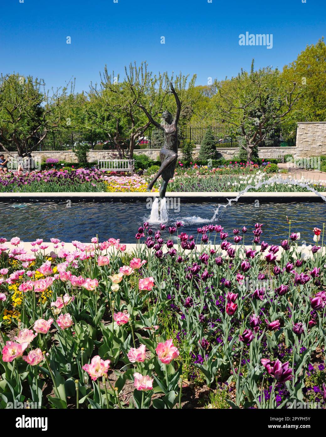 Kansas City, Missouri - April 29, 2023: Female statues in the tulip garden at Kauffman Gardens Stock Photo