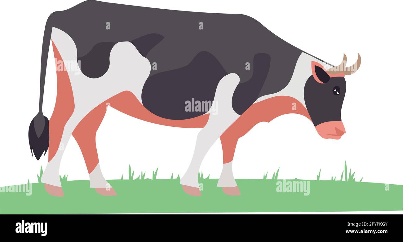 animal mammal cow in a grass field minimalist vector illustration Stock ...