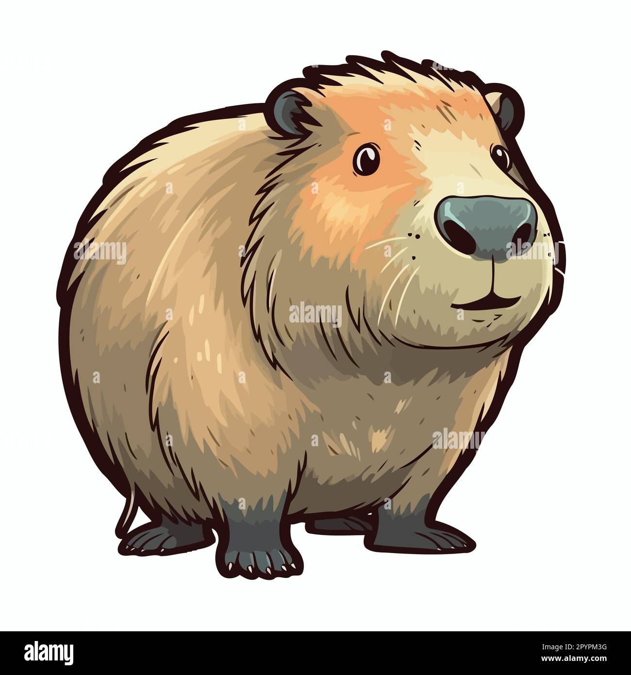 Capybara  Animal illustration art, Capybara, Animal illustration