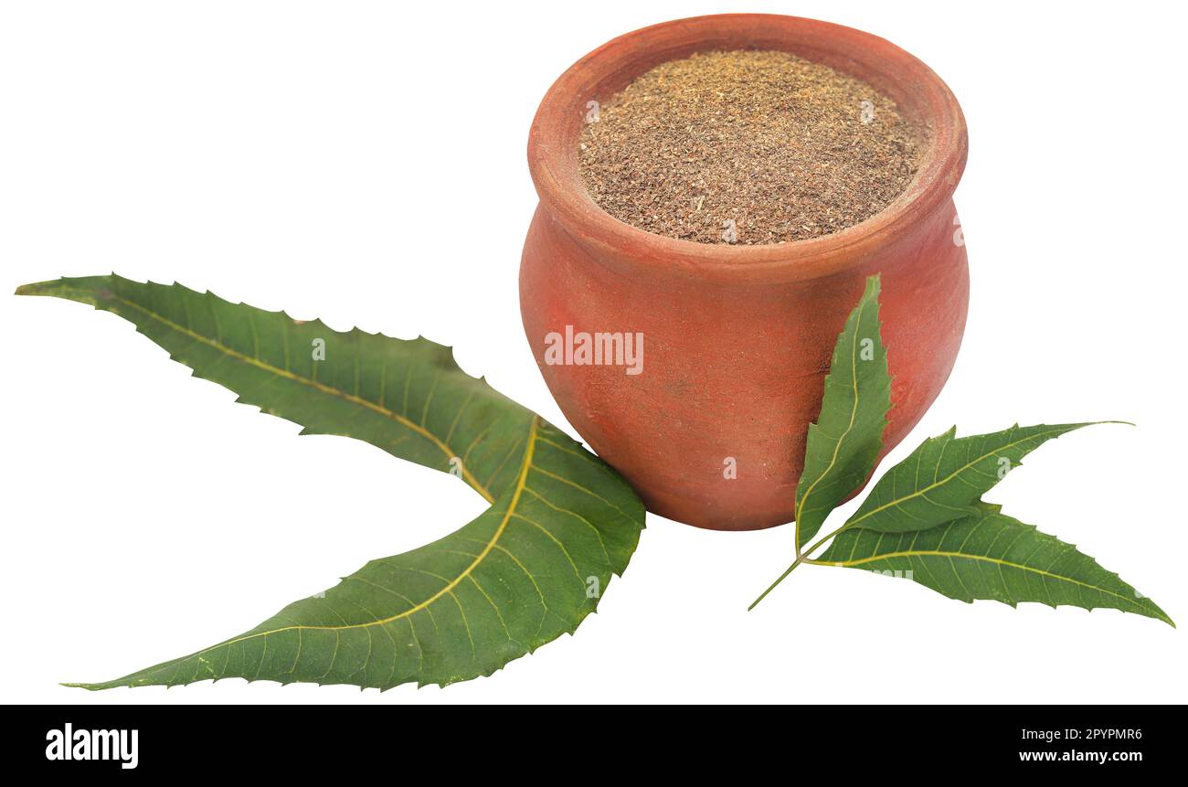 Medicinal neem leaves with powder in a bowl Stock Photo