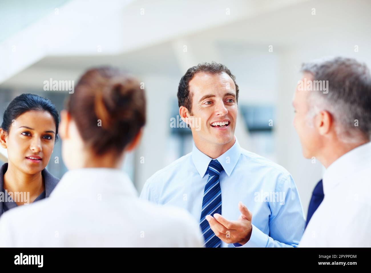 Successful people discussing business issues. Portrait of successful ...