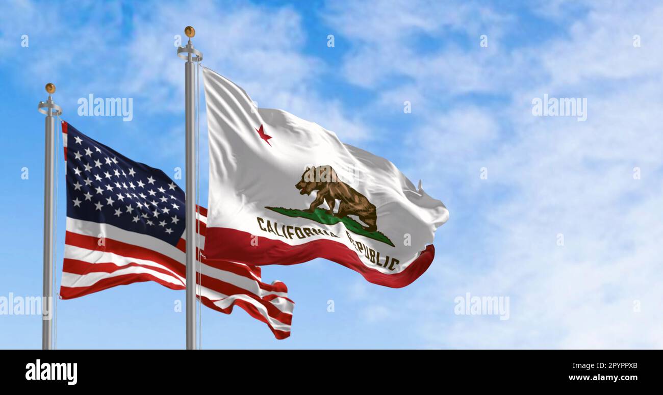 The California Republic state flag waving along with the national flag of the United States of America on a clear day. 3D illustration render. Rippled Stock Photo
