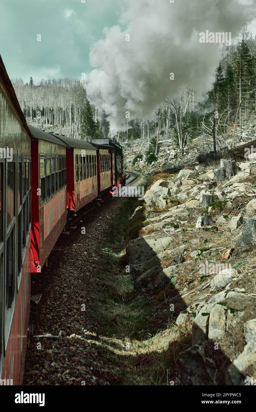 Harzer Schmalspurbahn Stock Photo