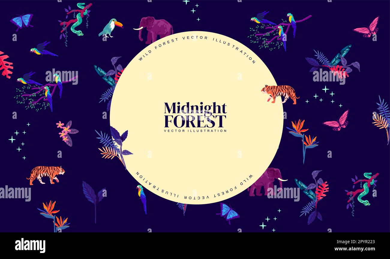 Midnight rainforest design elements and layout vector illustration. Stock Vector