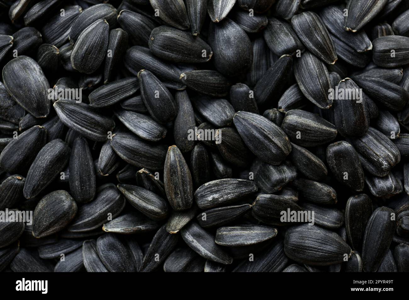 Pile of sunflower seeds as background, closeup Stock Photo Alamy