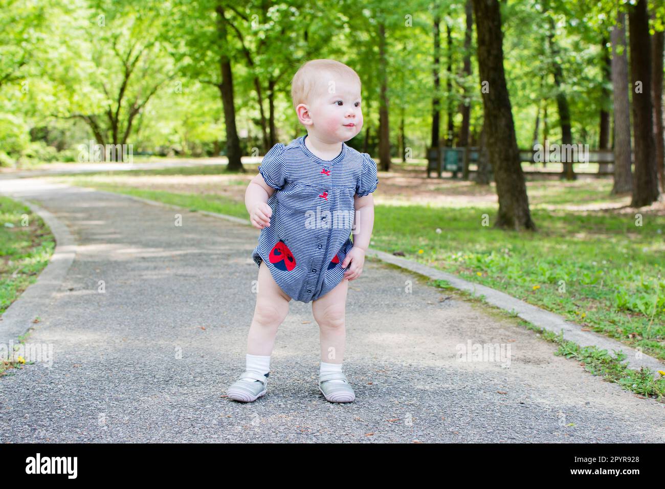 Cute caucasian baby taking first steps in the park on a summer day. Toddler walking Stock Photo