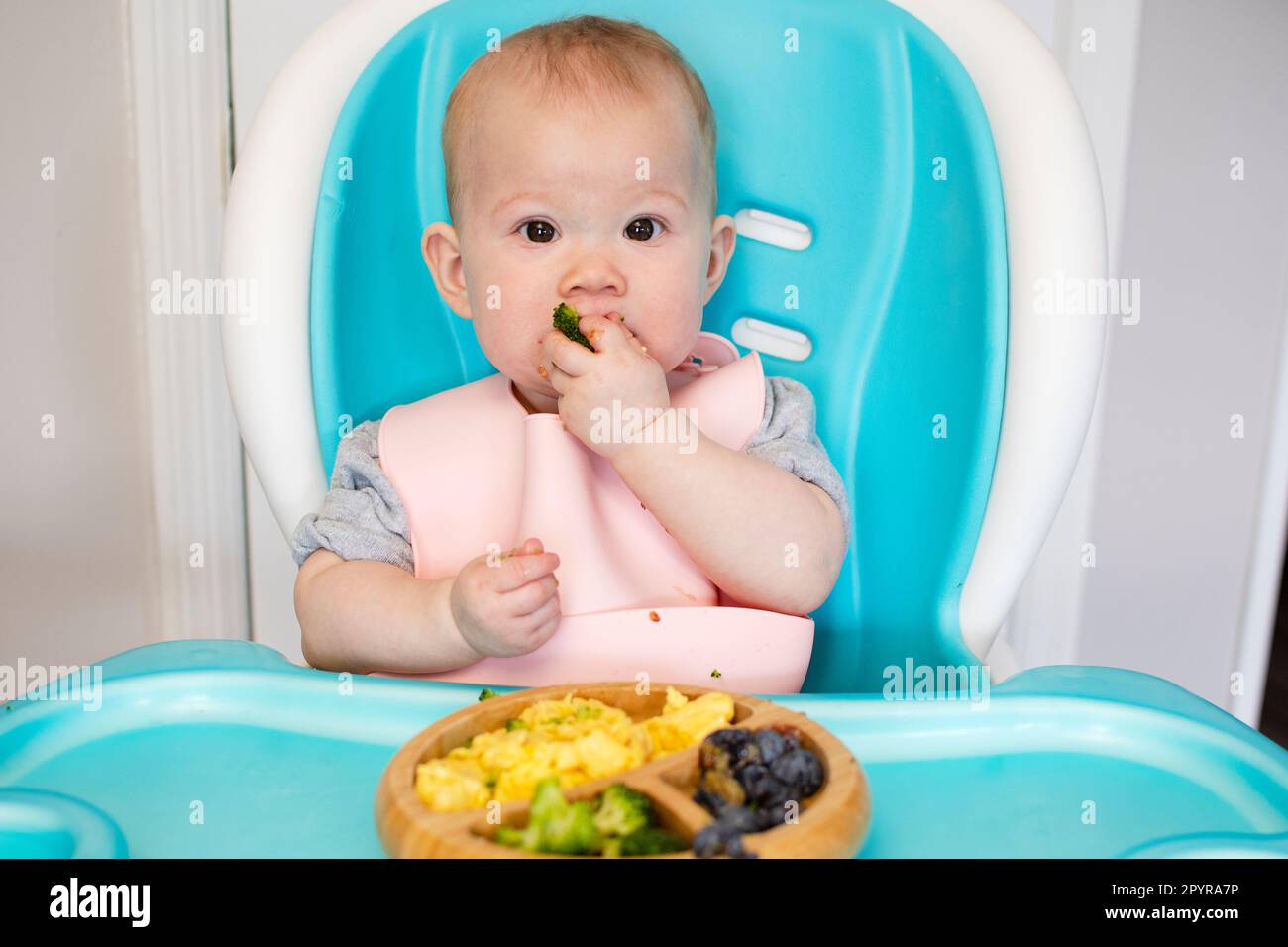 Baby eating broccoli. Baby-led weaning. Weaning. Healthy eating. Caucasian baby girl sitting in a high chair and eating her lunch Stock Photo