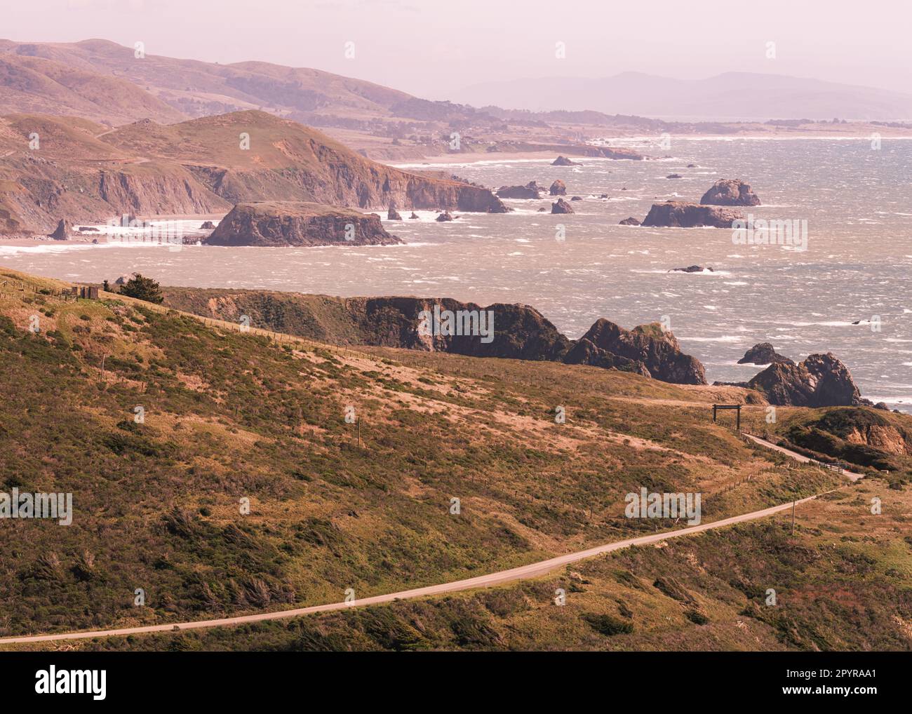 An elavated view of the ocean and rugged coastline of Bodega Bay area