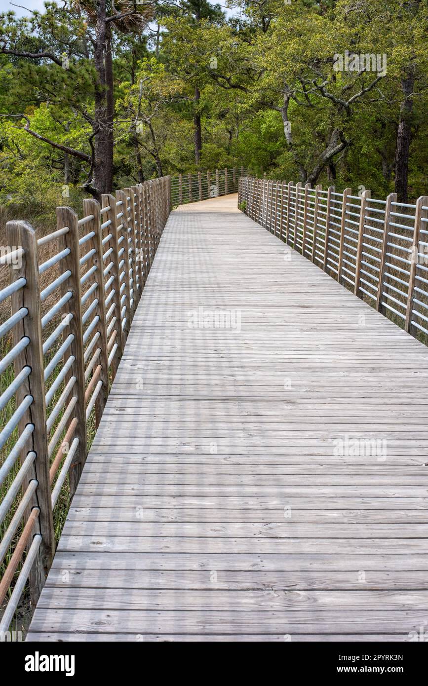 Charles Towne Landing, Charleston, South Carolina Stock Photo Alamy