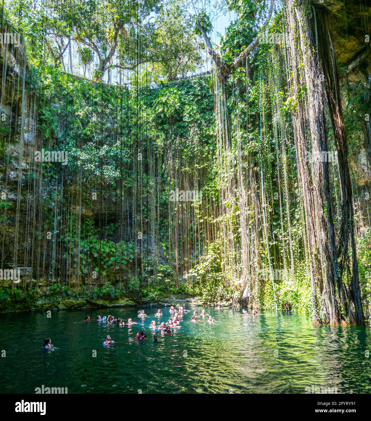 People swimming in limestone sinkhole pool, Cenote Ik kil, Pisté