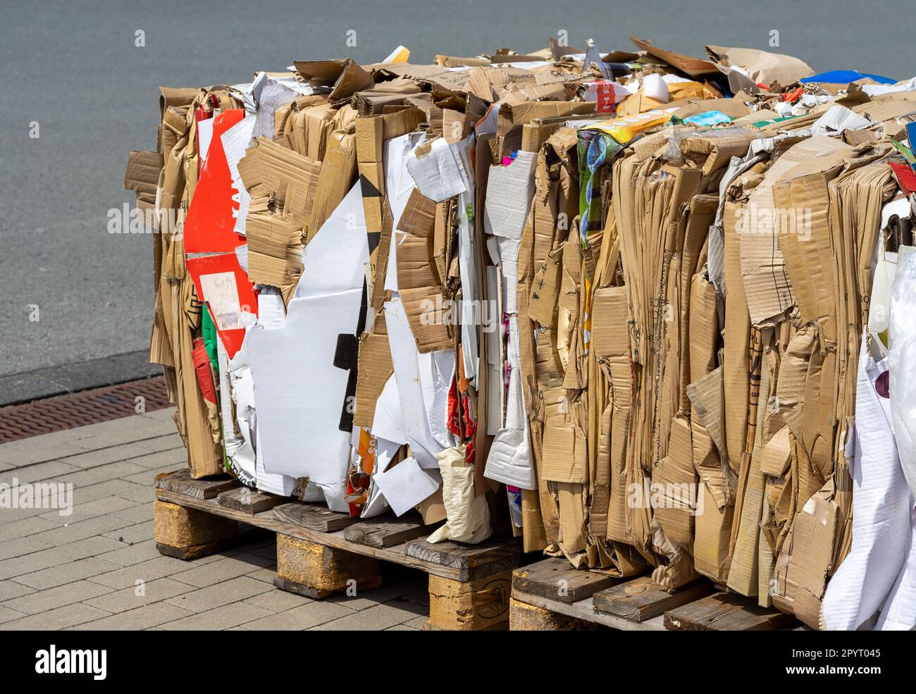 Waste paper and cardboard recycling center Stock Photo Alamy