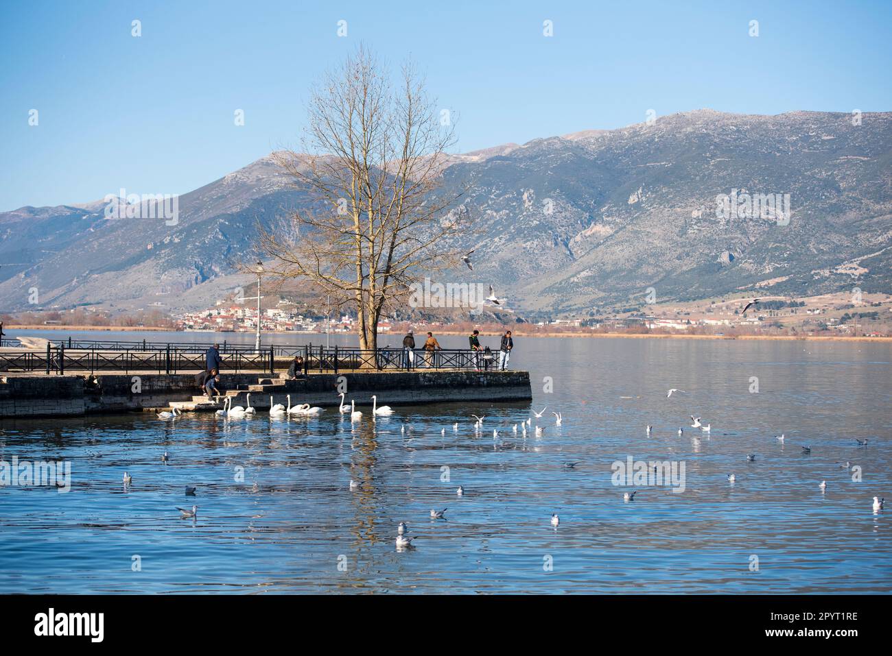 view of the lake Pamvotis in the morning. Ioannina city, Greece Stock Photo