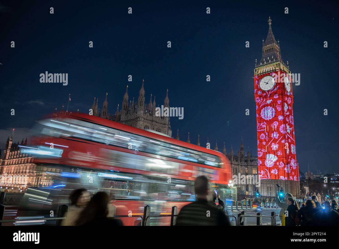 London, UK. 4th May 2023. Coronation: Big Ben landmark is illuminated in a series of projections of national flowers of all four home nations – a rose, thistle, daffodil and shamrock, from Thursday evening. The illuminations in red, white and blue mark the forthcoming crowning of the King and the Queen Consort this weekend. Credit: Guy Corbishley/Alamy Live News Stock Photo