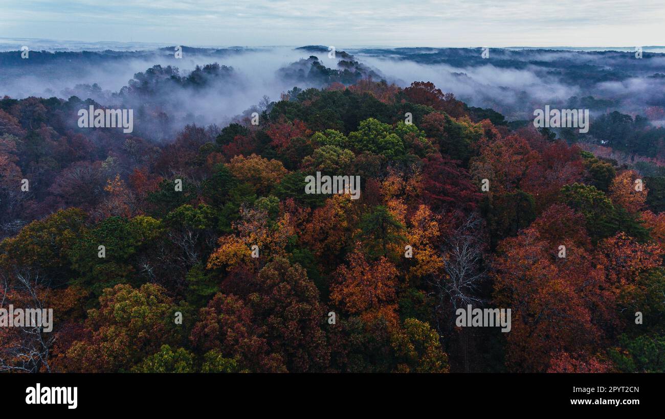 An aerial view of a mountain range covered with autumn trees on a foggy ...