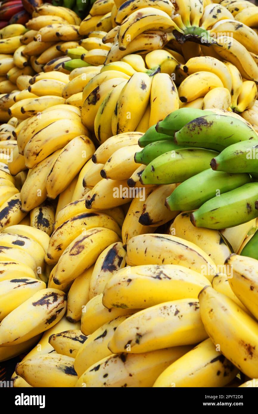 banana fruits from africa as nice food background Stock Photo Alamy