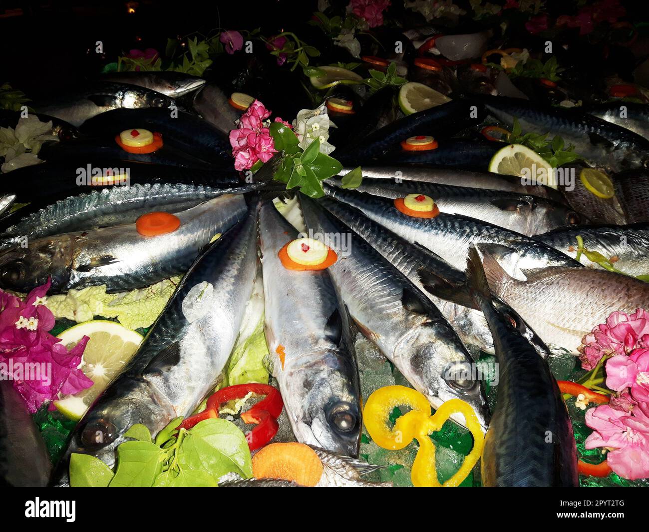 fresh sea fishes table in egypt restaurant Stock Photo Alamy