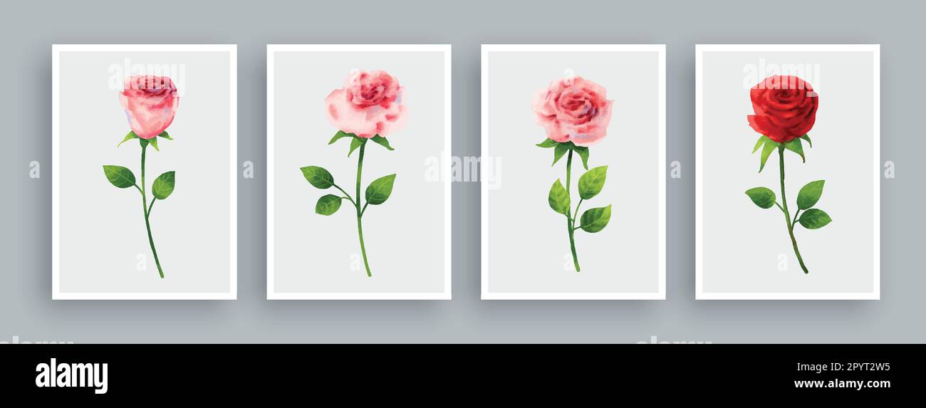 Rose painting set in watercolor style. Wall art watercolor painting background. Stock Vector