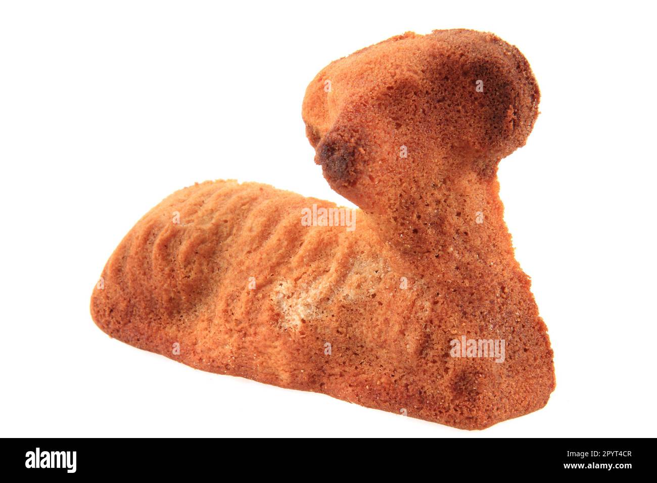 Easter lamb cake traditional czech food isolated on white background Stock Photo Alamy