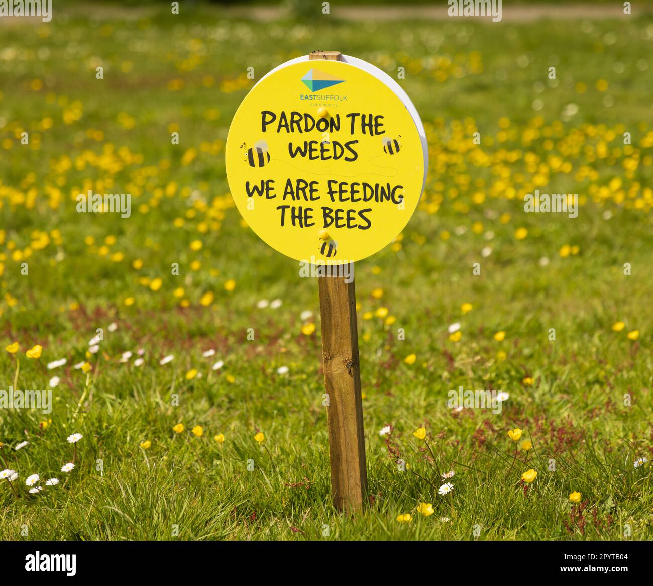Sign on Westleton Green encouraging the creation of a bee friendly landscape, promoted by East Suffolk Council. Stock Photo