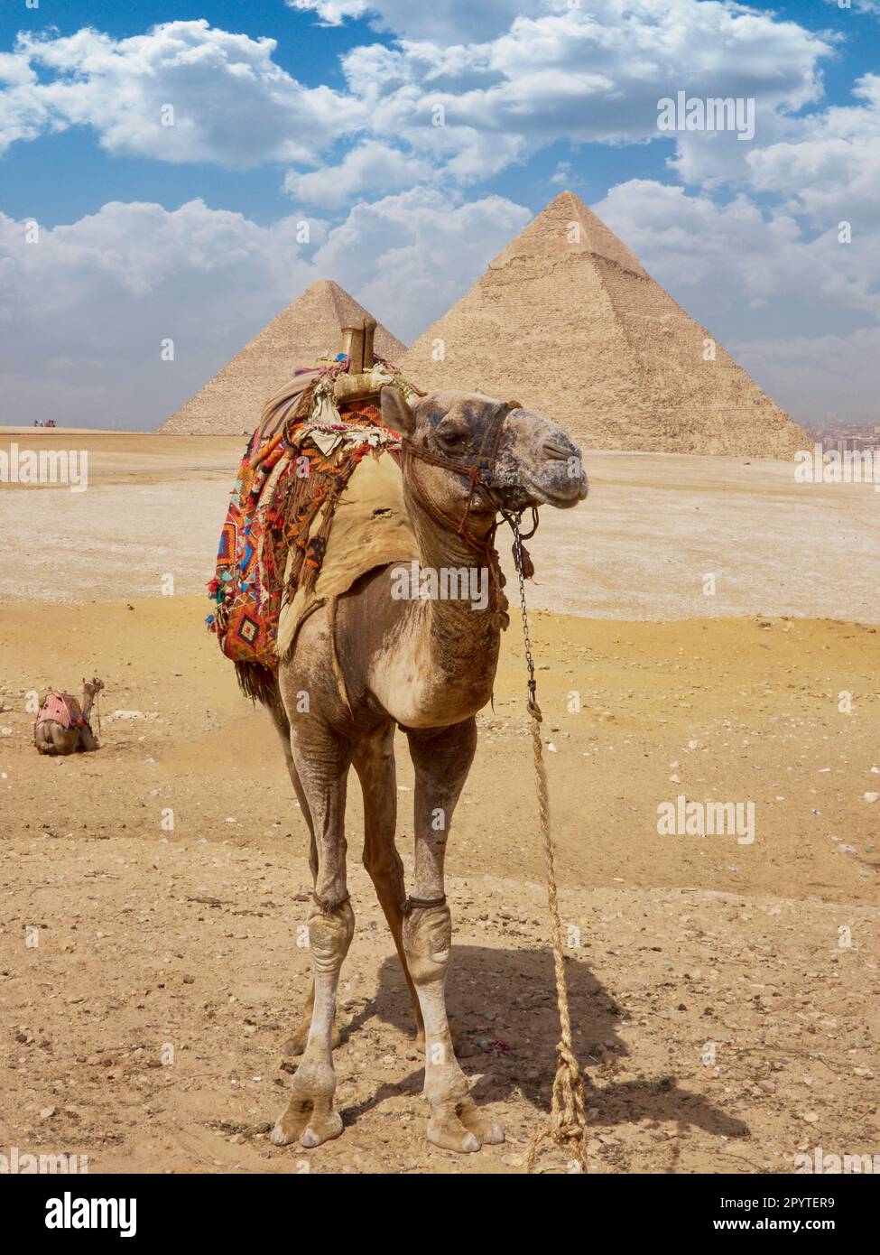 Egyptian pyramids in sand desert and clear sky Stock Photo