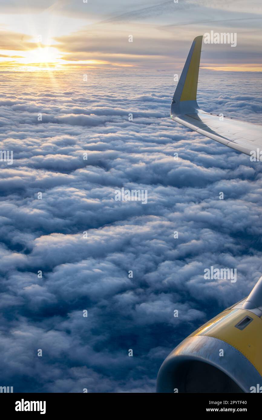 View from an airplane window over a sea of clouds at sunset with the plane wing and the jet engine Stock Photo