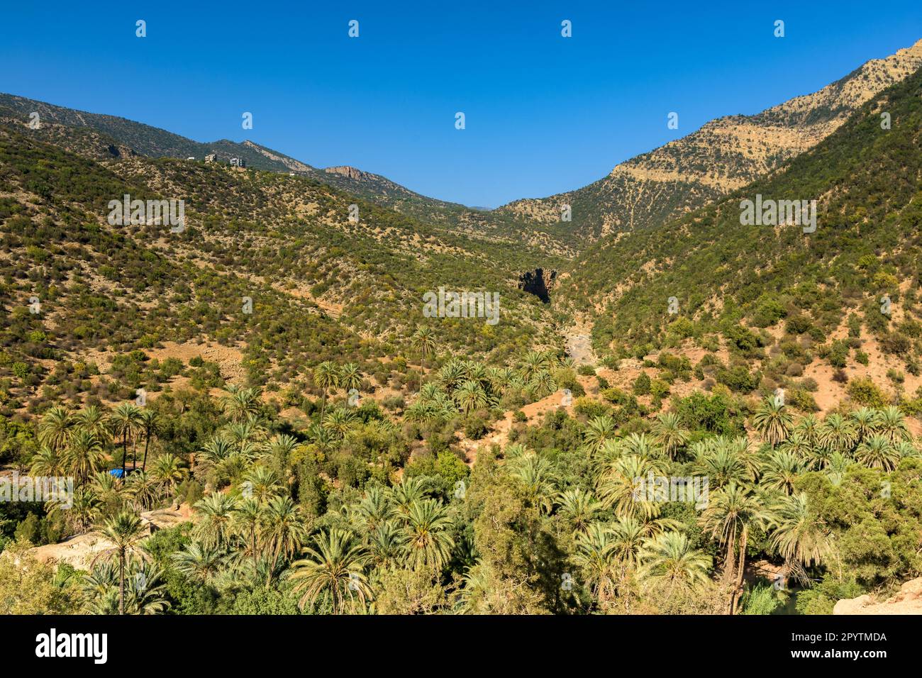 Paradise valley in Morocco, near Agadir Stock Photo Alamy
