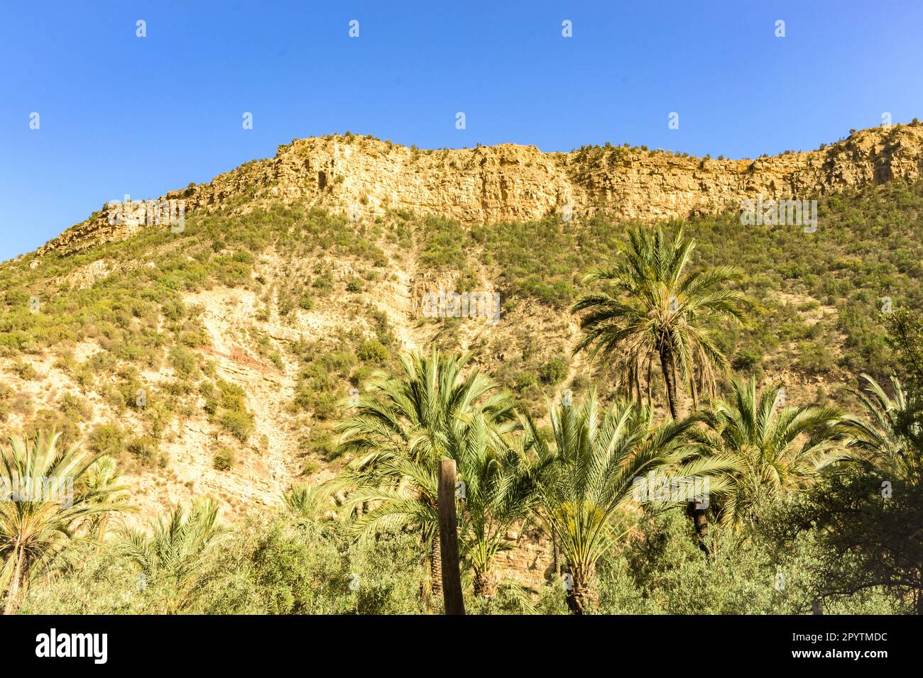 Paradise valley in Morocco, near Agadir Stock Photo Alamy