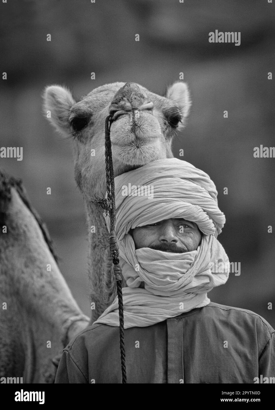 Tuareg man algeria Black and White Stock Photos & Images - Alamy
