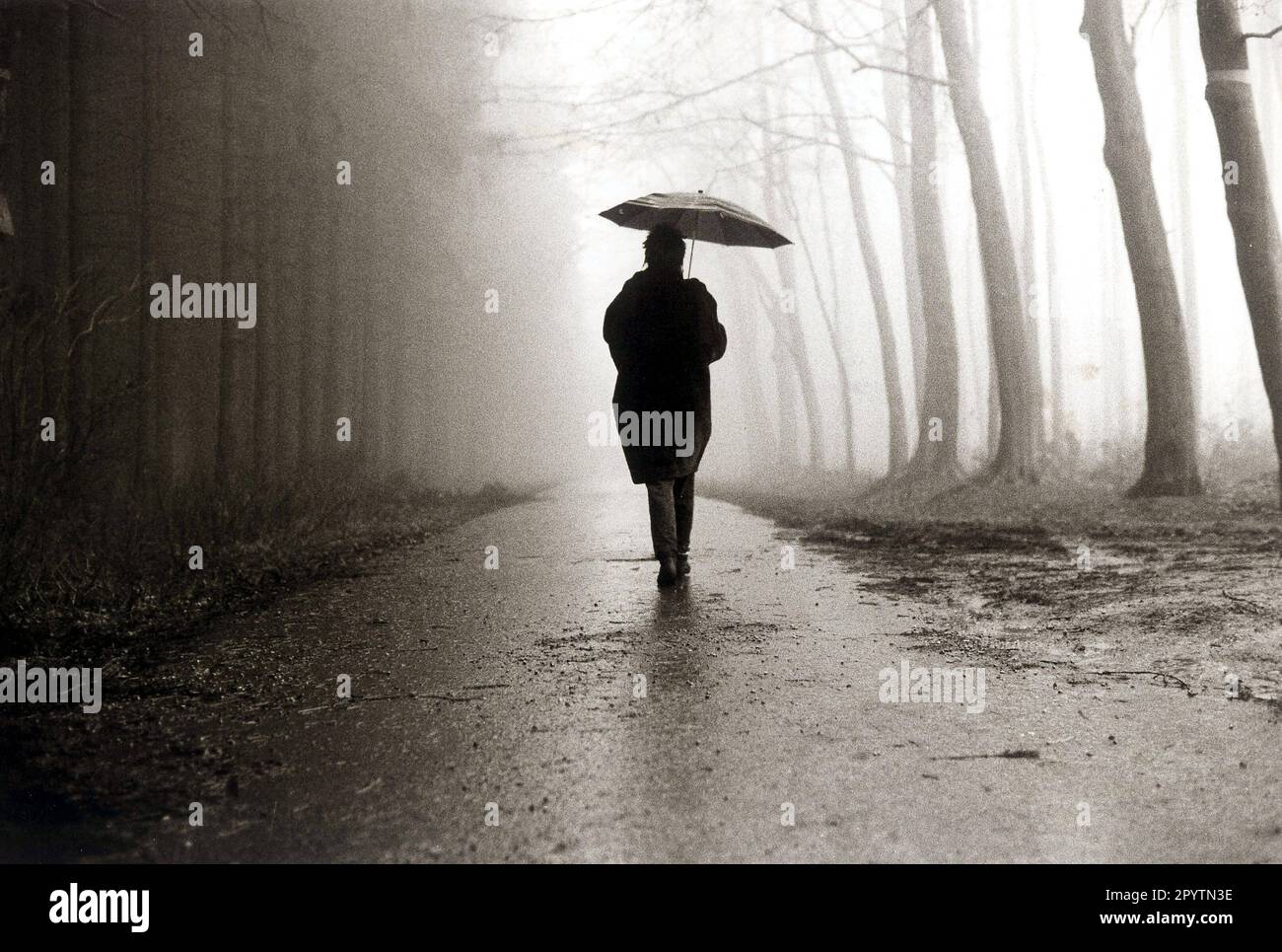 Winter day in the forest. A woman walks with an umbrella on a forest path through the dense fog. Silhouette against the light. Aachen, North Rhine-Westphalia, Germany, 01.11.1990 | Automated translation: winter day in the woods. A woman walks with an umbrella on a forest road through the thick fog. Silhouette in the backlight. Aachen, North Rhine-Westphalia, Germany, 01.11.1990 [automated translation] Stock Photo
