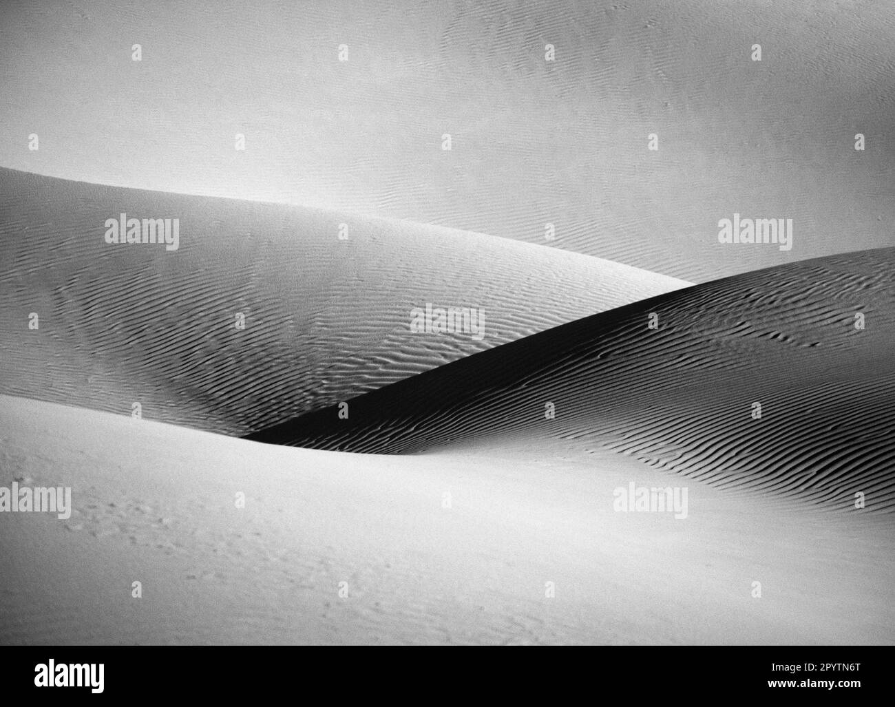 Algeria, Kerzaz. Western Sandsea. (Grand Erg Occidental). Sahara desert