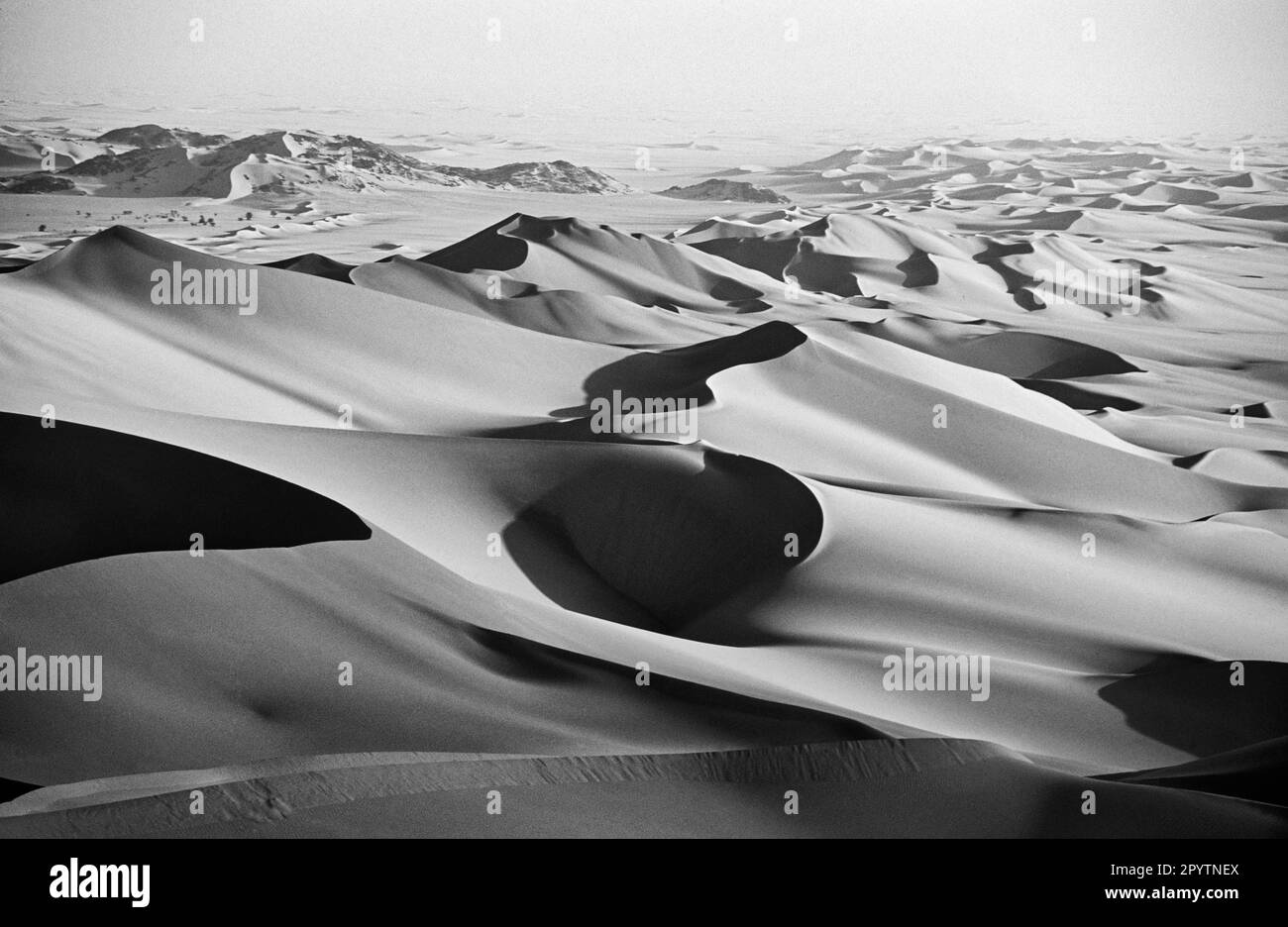 Niger, Agadez. Sahara desert. T n r desert. Sand dunes of Arakao. Black