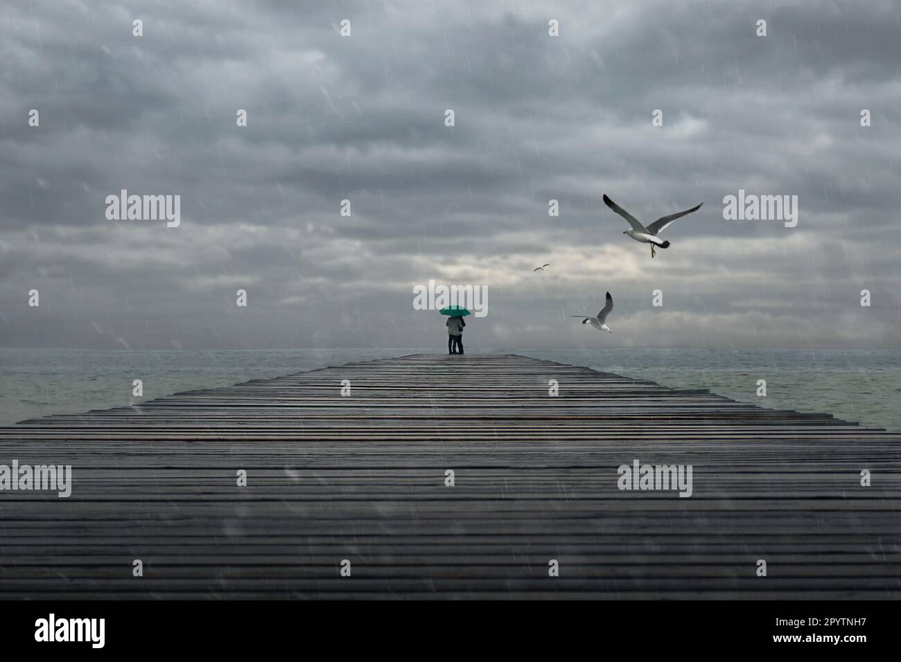 rainy day on the lakeshore,a man and a woman are standing on a wooden bridge under a green umbrella,people's faces are not visible,seagulls are flying Stock Photo