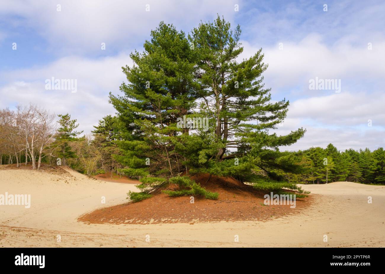 Desert of Maine, Tourist attraction in Freeport, Maine Stock Photo Alamy